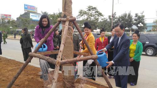 Sơn La hưởng ứng Tết trồng cây đời đời nhớ ơn Bác Hồ 